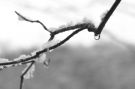 Melting Snow