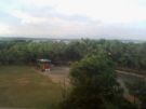 TW4 The view out my window afforded my first bird sight