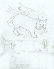 {davidsart06} Bobcat by David Staddon